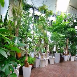 京都府京都市中京区の花屋　花市商店